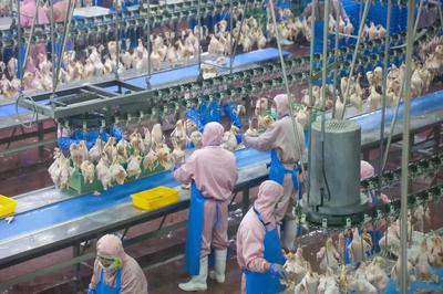 乳山預(yù)制菜企業(yè)實(shí)現(xiàn)年銷售額近10億元，飼料原料銷售雙輪驅(qū)動(dòng)