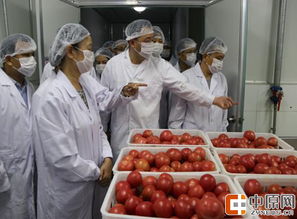 河南省局舉辦全省餐飲食品安全監管培訓班 強化餐飲管理