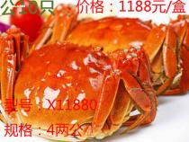 蘇州食品飲料產業全覽 價格、圖片、批發渠道與餐飲管理